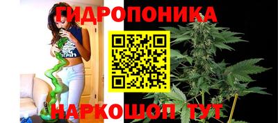 эйфоретик Абакан
