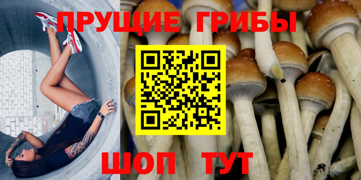 Псилоцибиновые грибы GOLDEN TEACHER Апатиты